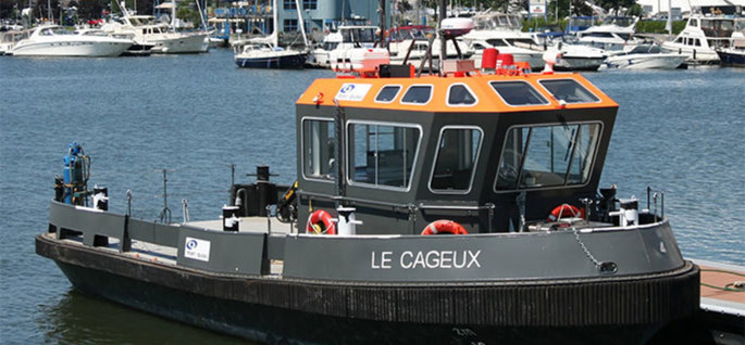 Le Cageux